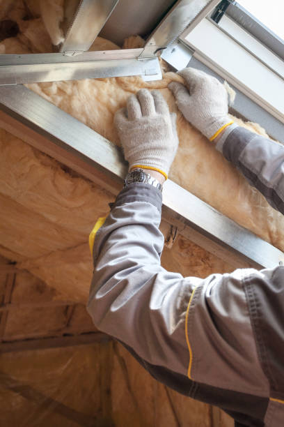 Professional Insulation Contractor in WY